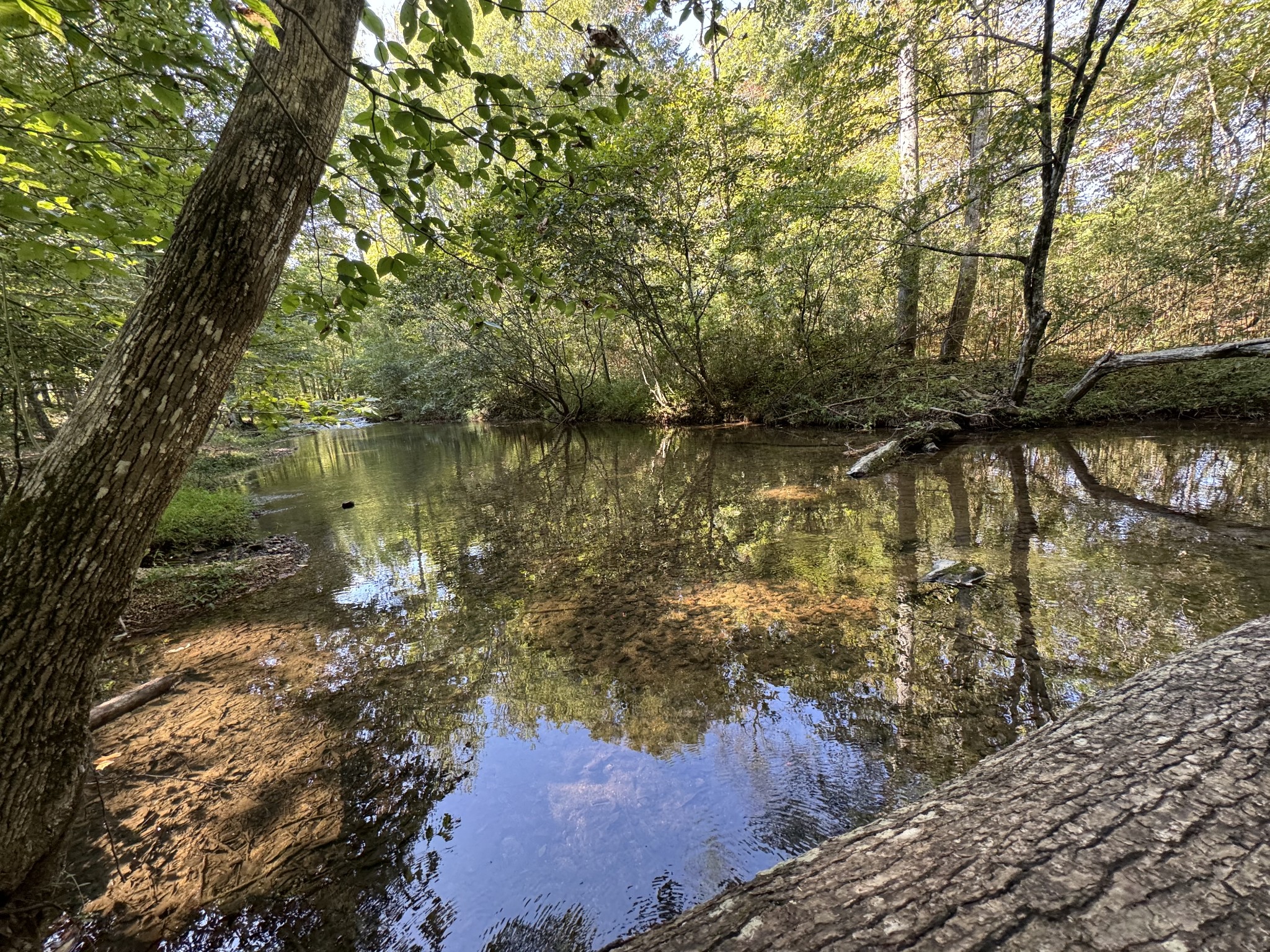 4715 Fortyeight Creek Road Waynesboro, TN 38485 - Photo 45 of 49