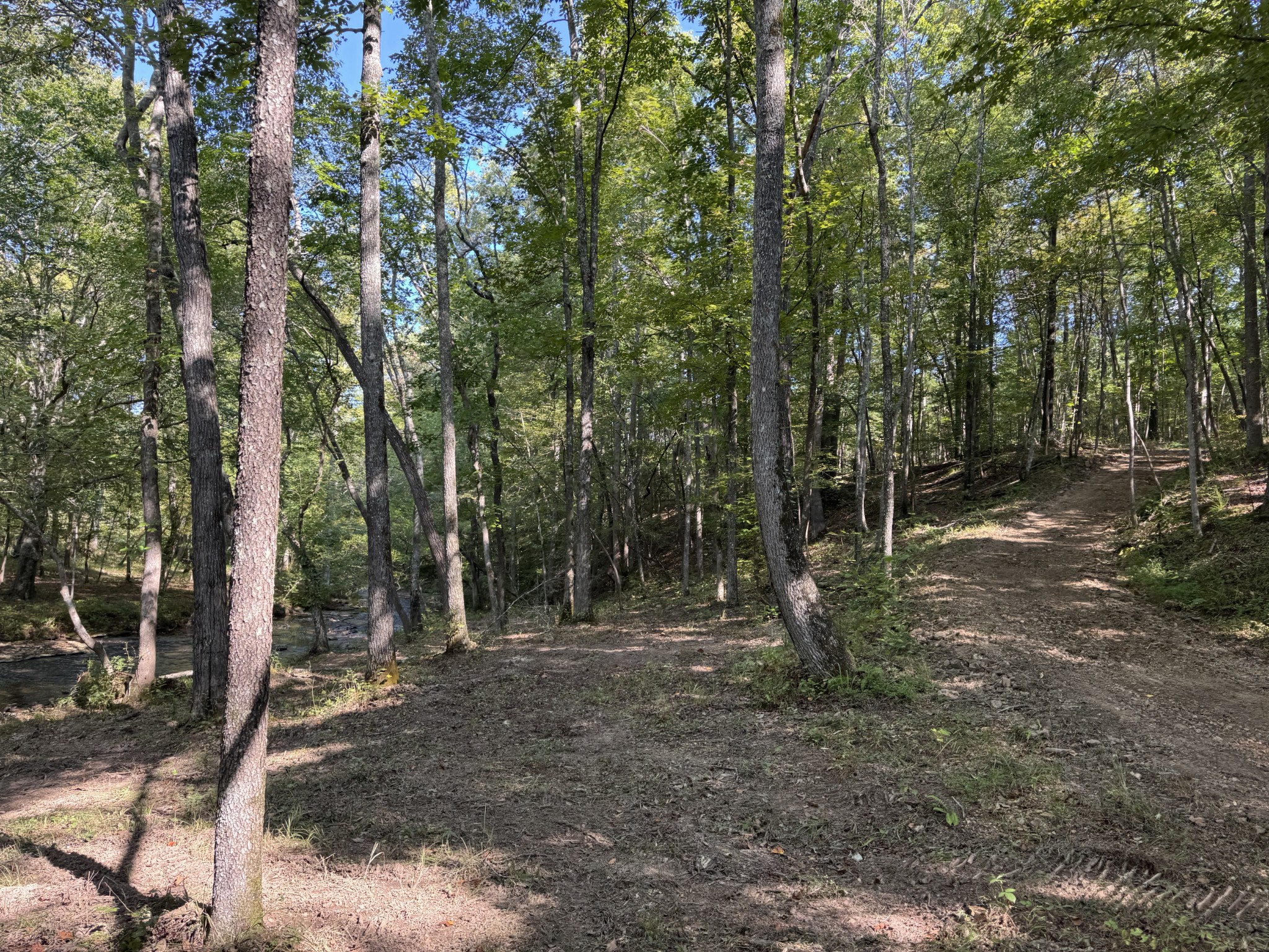 4715 Fortyeight Creek Road Waynesboro, TN 38485 - Photo 47 of 49