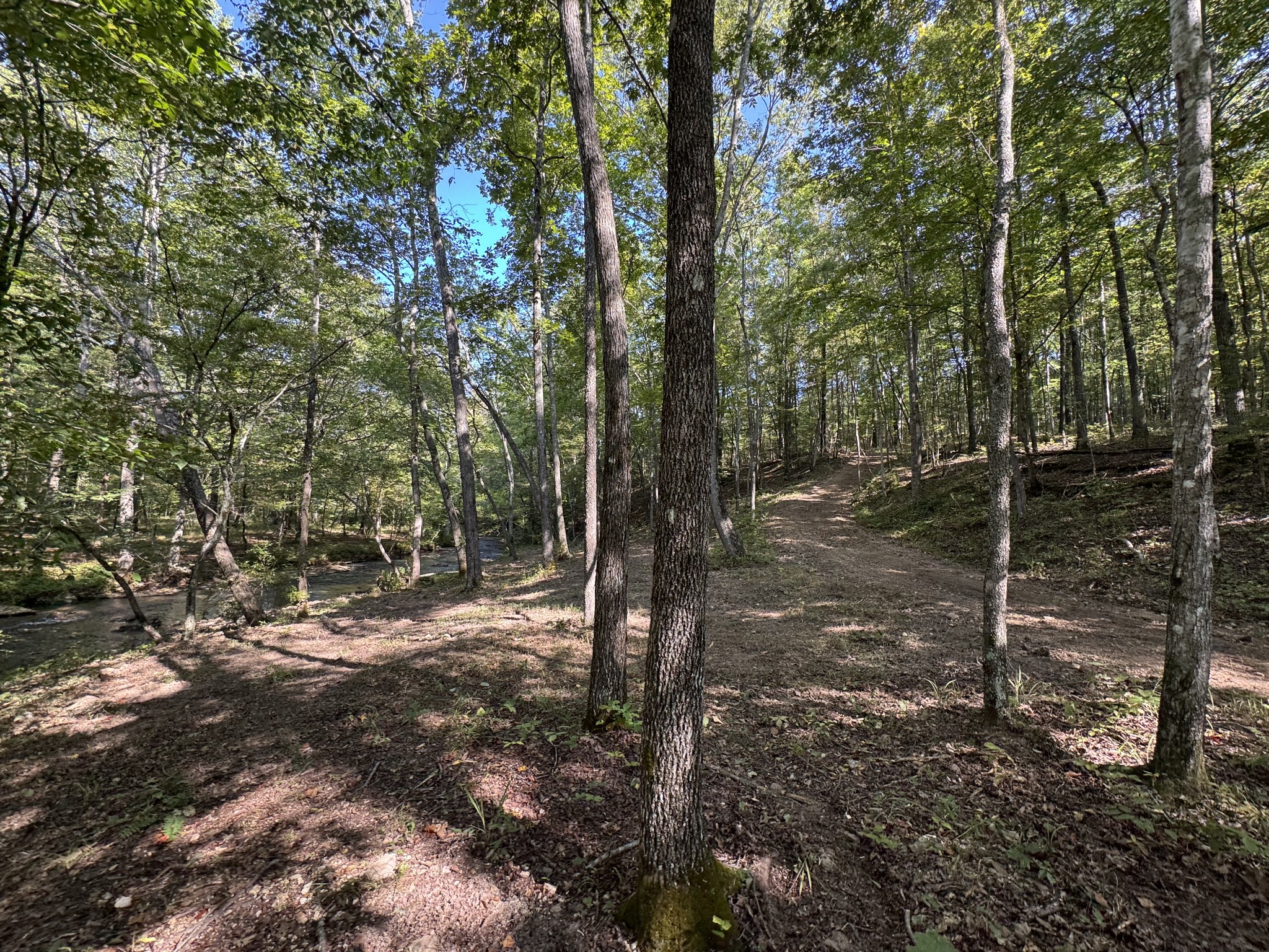 4715 Fortyeight Creek Road Waynesboro, TN 38485 - Photo 48 of 49