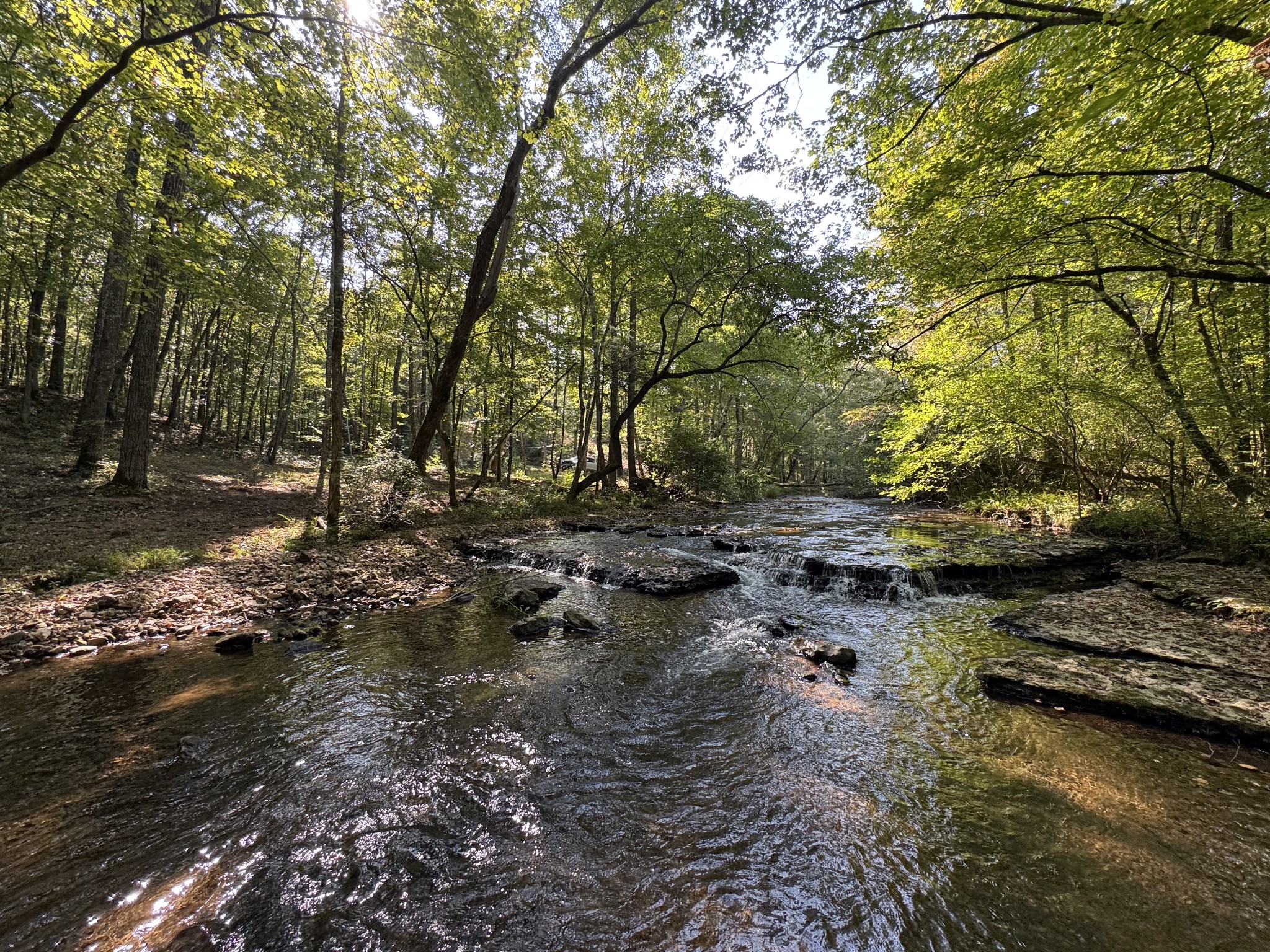4715 Fortyeight Creek Road Waynesboro, TN 38485 - Photo 49 of 49