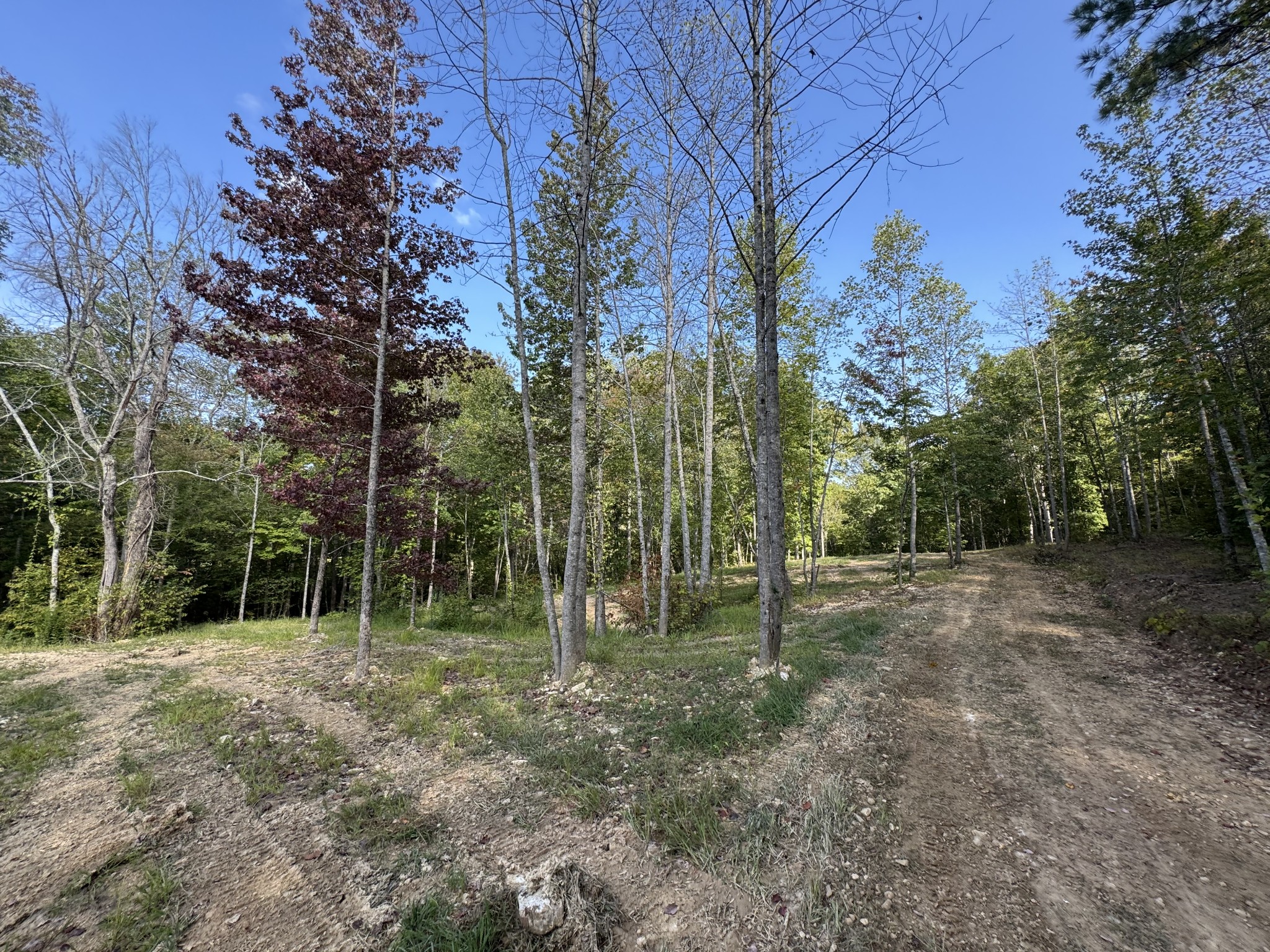 4715 Fortyeight Creek Road Waynesboro, TN 38485 - Photo 5 of 49