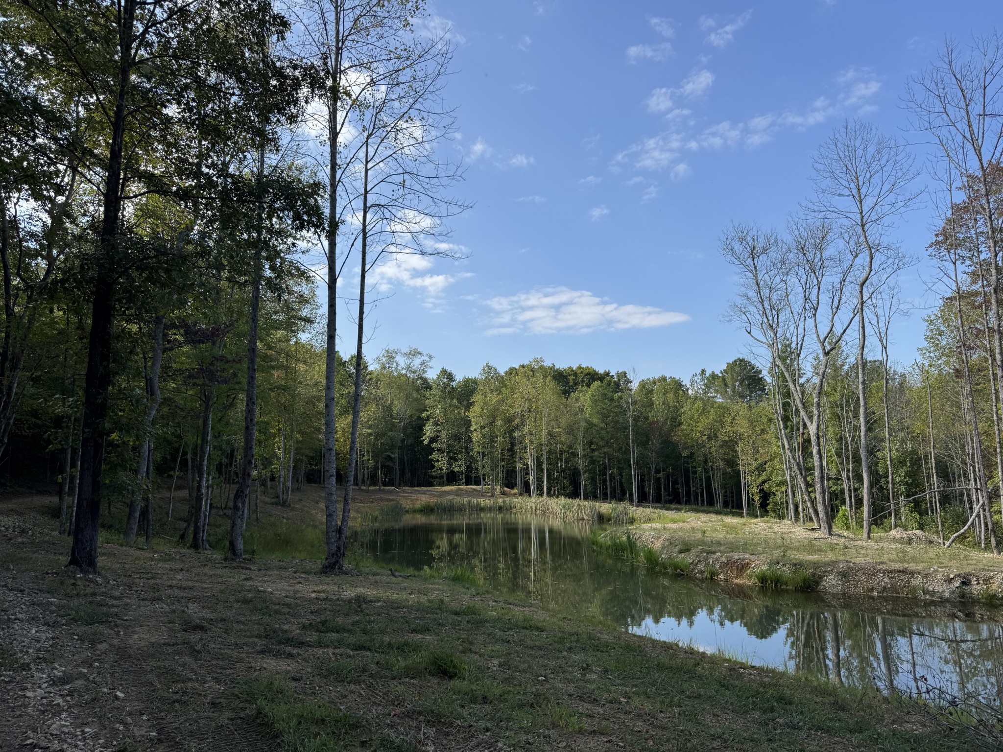 4715 Fortyeight Creek Road Waynesboro, TN 38485 - Photo 6 of 49