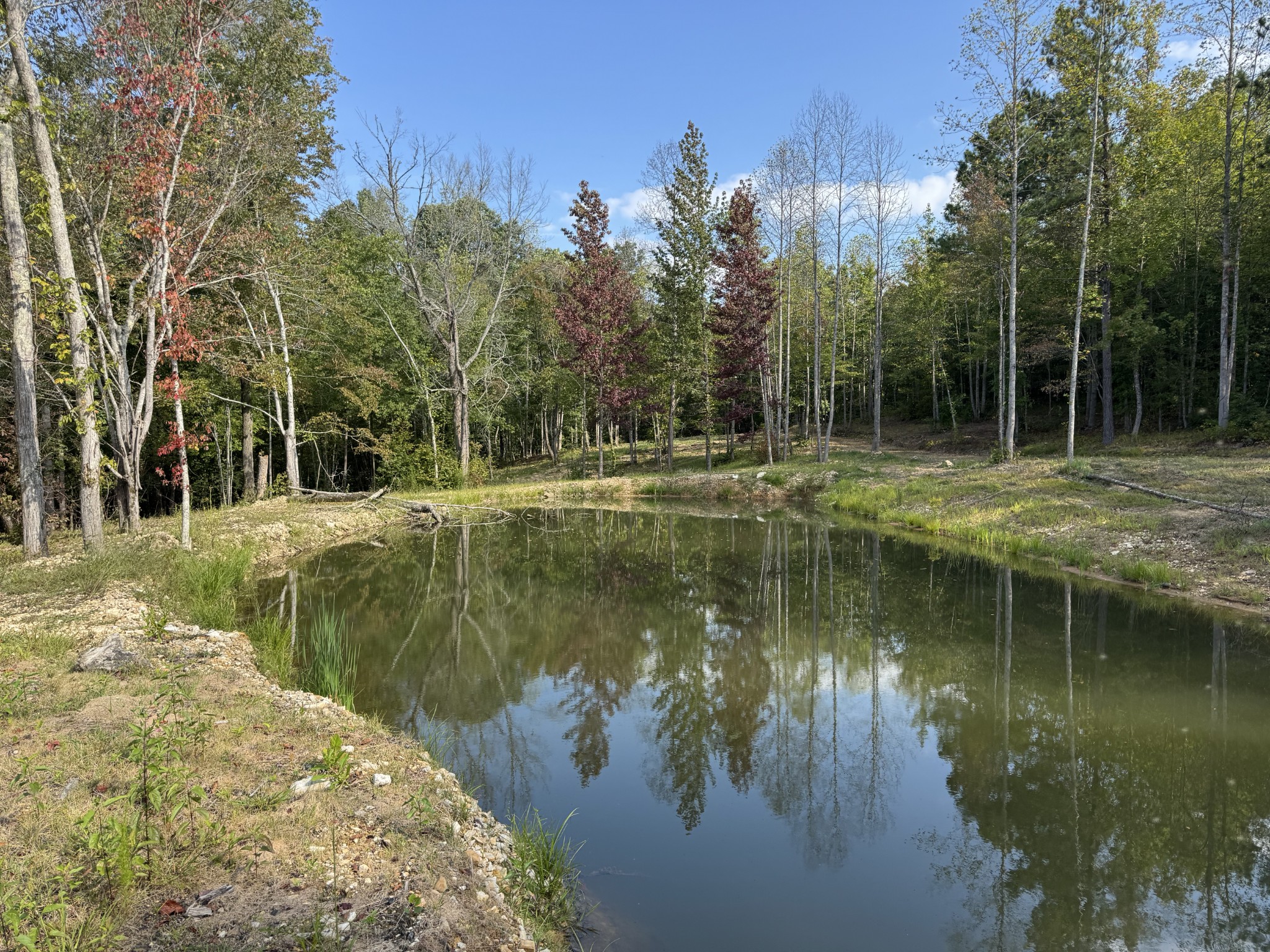 4715 Fortyeight Creek Road Waynesboro, TN 38485 - Photo 7 of 49