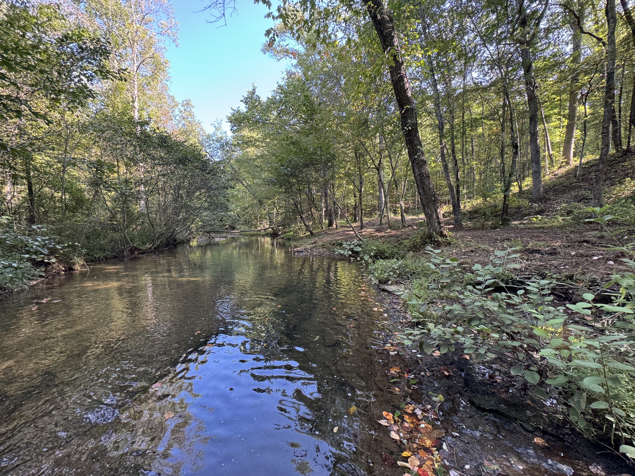4715 Fortyeight Creek Road Waynesboro, TN 38485 - Photo 8 of 49