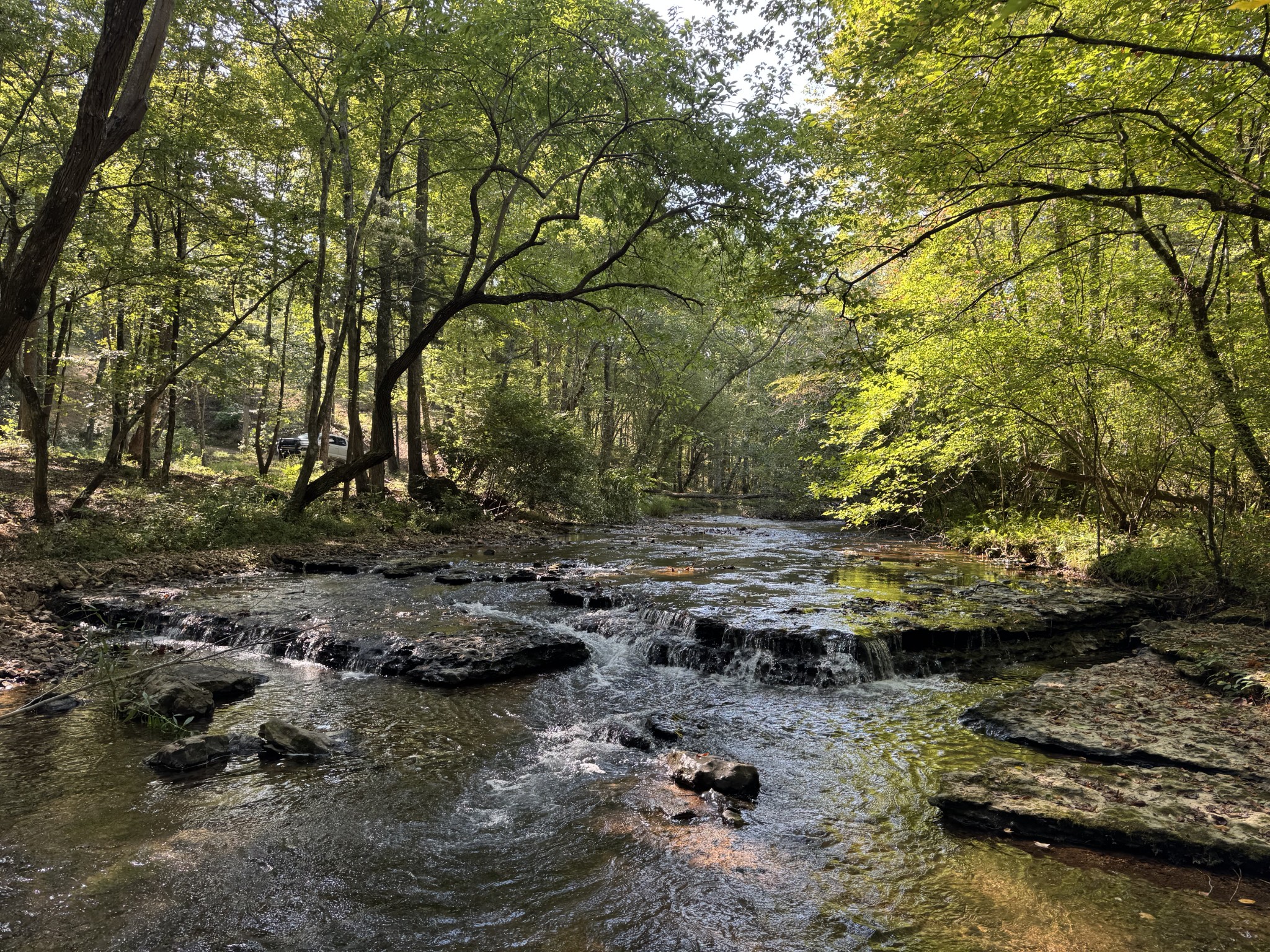 4715 Fortyeight Creek Road Waynesboro, TN 38485 - Photo 9 of 49