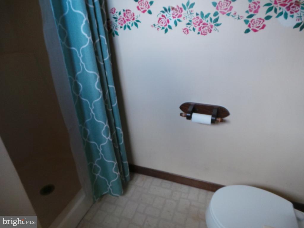 14019 Winchester Grade Road Berkeley Springs, WV 25411 - Photo 18 of 60 Gallery Image 18