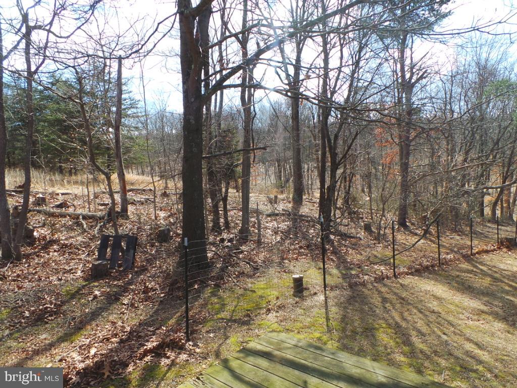 14019 Winchester Grade Road Berkeley Springs, WV 25411 - Photo 21 of 60 Gallery Image 21