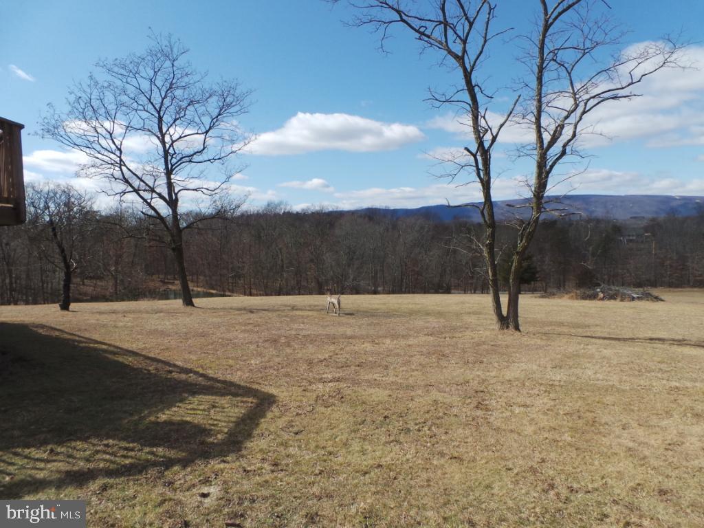 14019 Winchester Grade Road Berkeley Springs, WV 25411 - Photo 34 of 60 Gallery Image 34