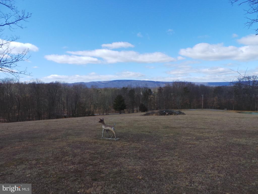 14019 Winchester Grade Road Berkeley Springs, WV 25411 - Photo 42 of 60 Gallery Image 42