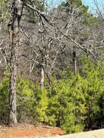 a picture of a bathroom with a shower