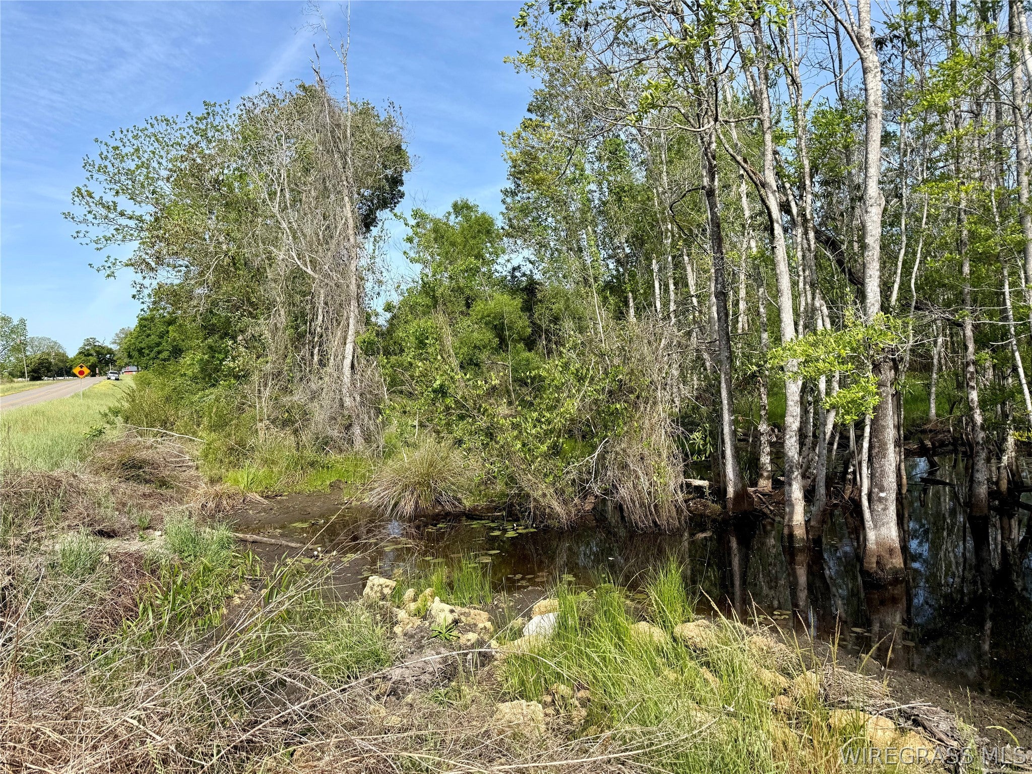 14.57-acres Red Oak Road Florala, AL 36442 - Photo 7 of 14 Gallery Image 7