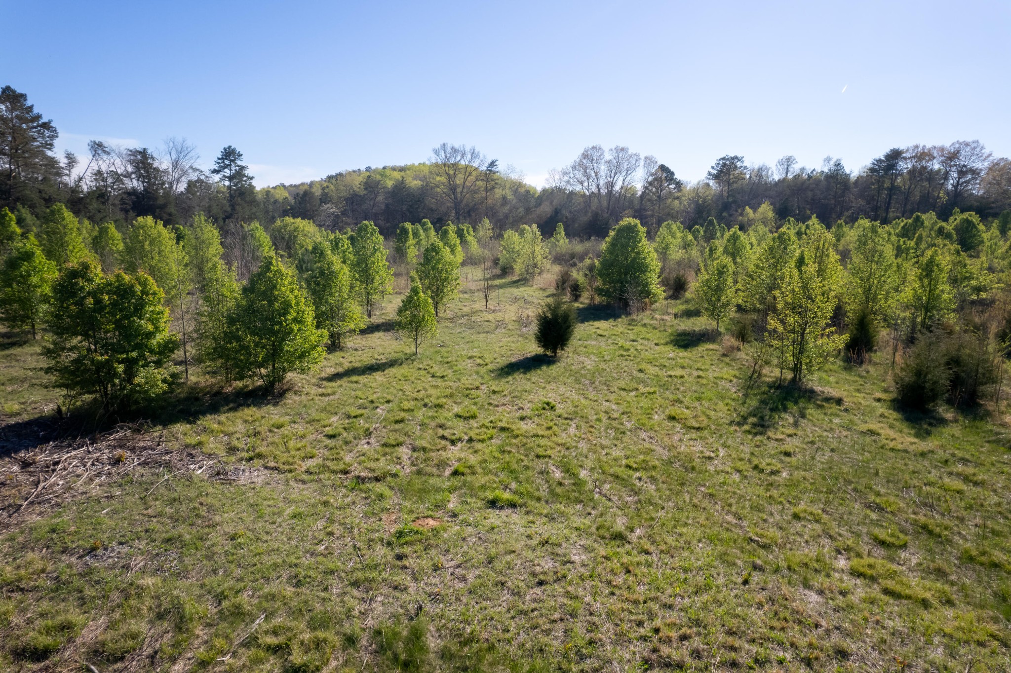 0 Grove Road Benton, TN 37307 - Photo 7 of 18 Gallery Image 7