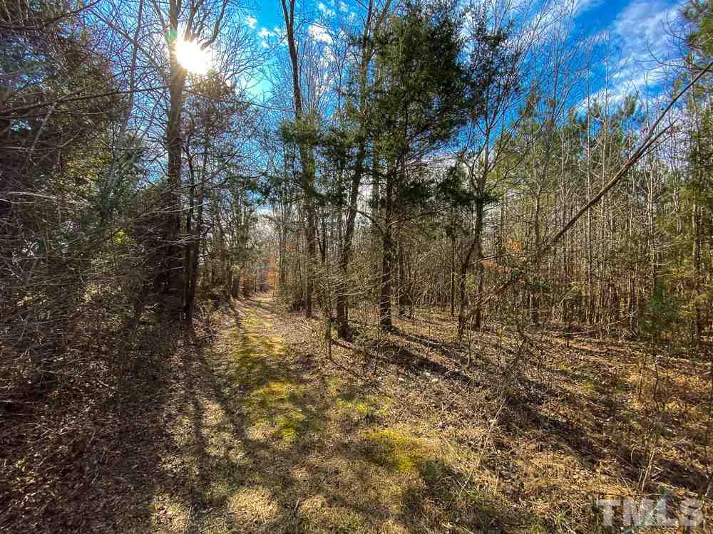 150 Bark Road Ruffin, NC 27326 - Photo 2 of 28 Gallery Image 2