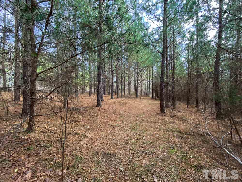 150 Bark Road Ruffin, NC 27326 - Photo 11 of 28 Gallery Image 11