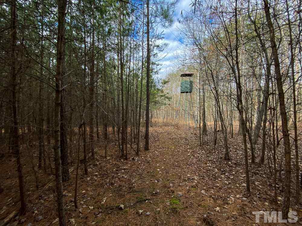 150 Bark Road Ruffin, NC 27326 - Photo 12 of 28 Gallery Image 12