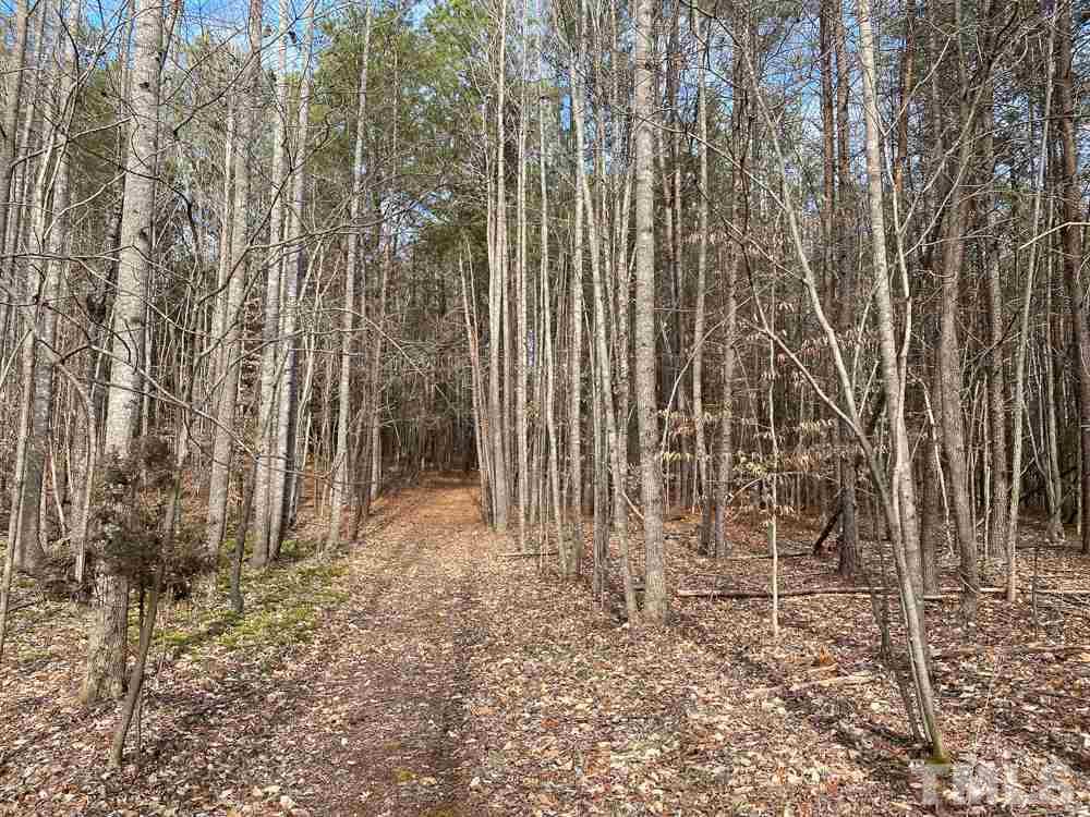 150 Bark Road Ruffin, NC 27326 - Photo 18 of 28 Gallery Image 18