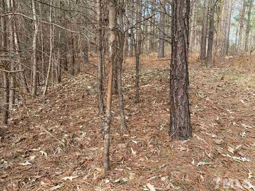 150 Bark Road Ruffin, NC 27326 - Photo 20 of 28 Gallery Image 20