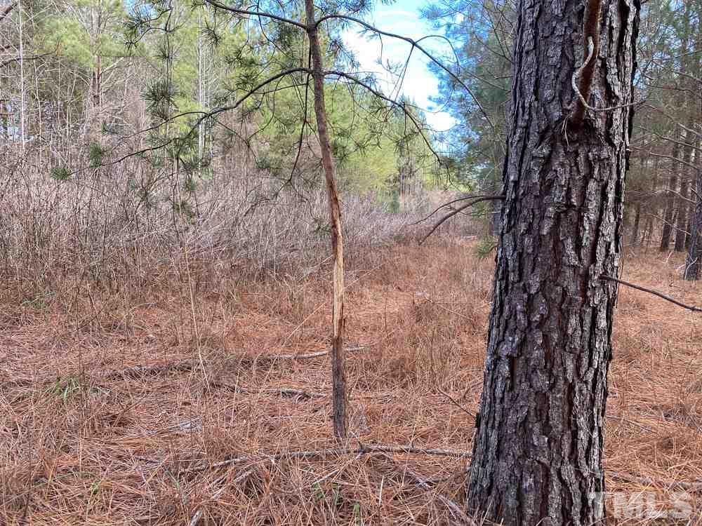 150 Bark Road Ruffin, NC 27326 - Photo 21 of 28 Gallery Image 21