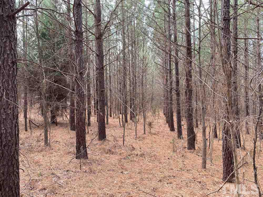 150 Bark Road Ruffin, NC 27326 - Photo 22 of 28 Gallery Image 22