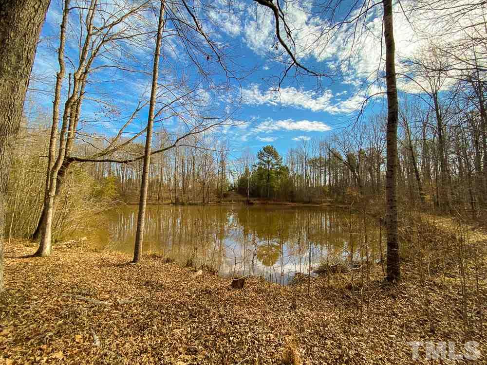 150 Bark Road Ruffin, NC 27326 - Photo 7 of 28 Gallery Image 7
