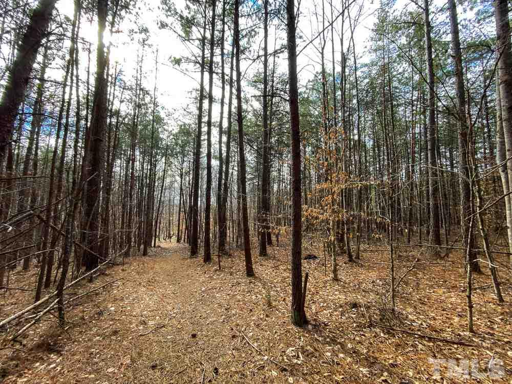 150 Bark Road Ruffin, NC 27326 - Photo 8 of 28 Gallery Image 8