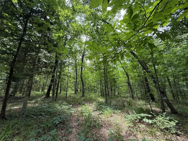 $424,000 | 15195 West Farm Road 71, Sulphur Bluff, TX 75481