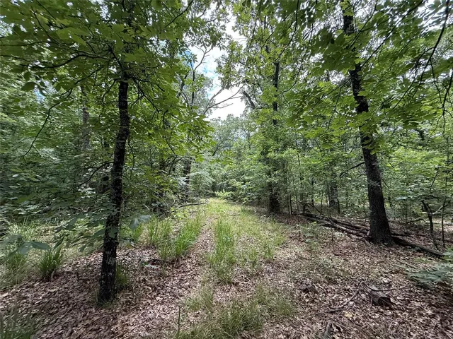 $424,000 | 15195 West Farm Road 71, Sulphur Bluff, TX 75481