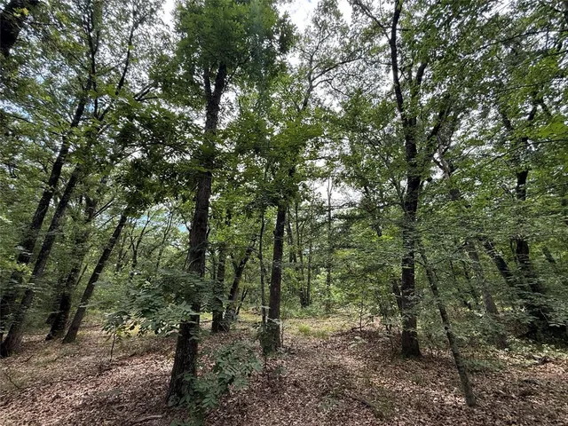 $424,000 | 15195 West Farm Road 71, Sulphur Bluff, TX 75481