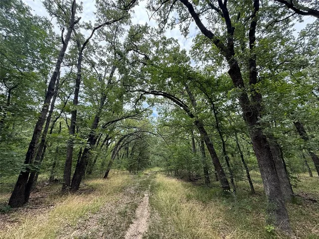 $424,000 | 15195 West Farm Road 71, Sulphur Bluff, TX 75481