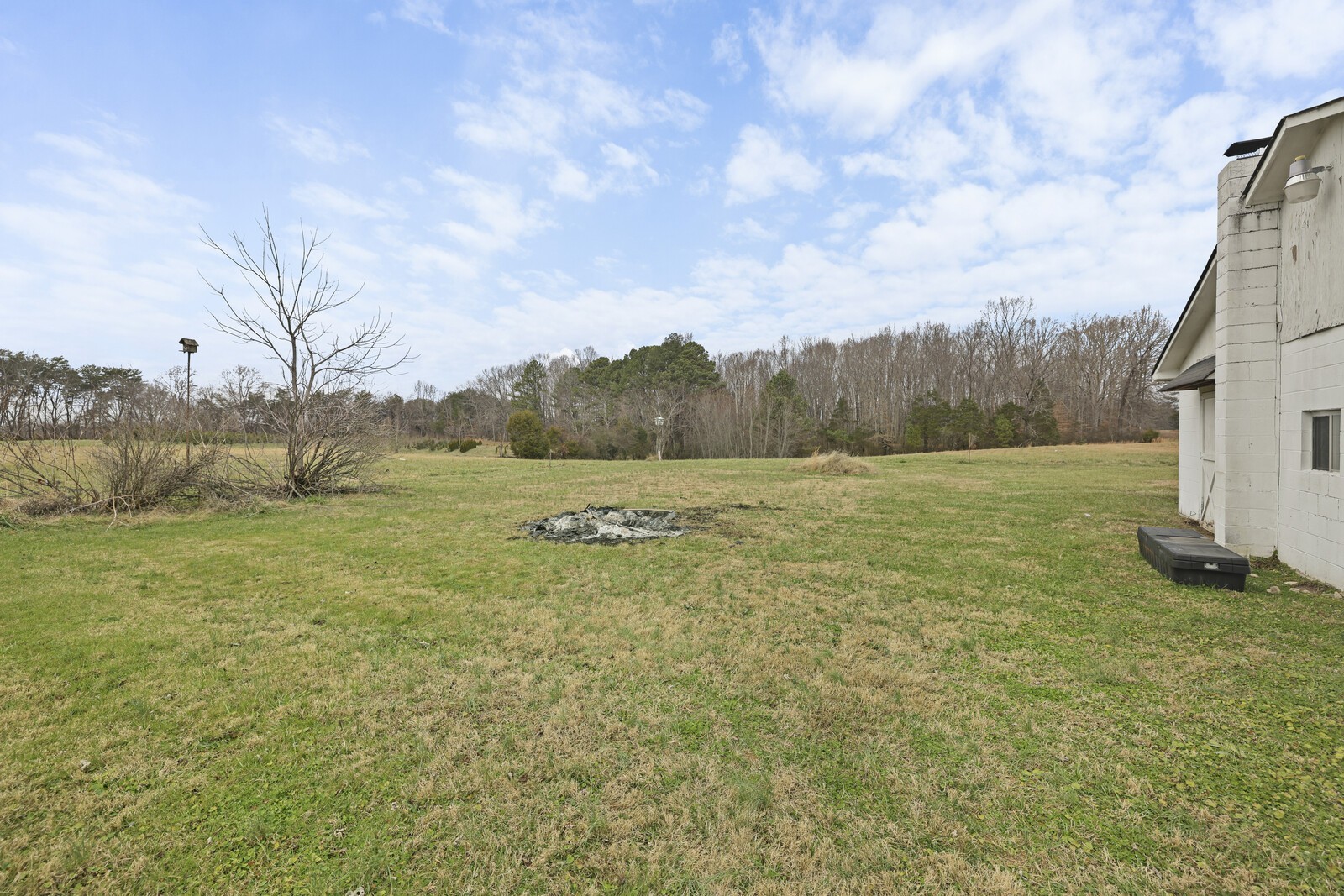 95 Pike Hill Road McMinnville, TN 37110 - Photo 21 of 42 a view of a field with an trees in front of it