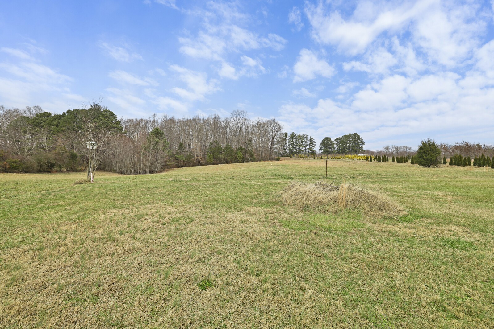 95 Pike Hill Road McMinnville, TN 37110 - Photo 23 of 42 a view of an outdoor space and yard