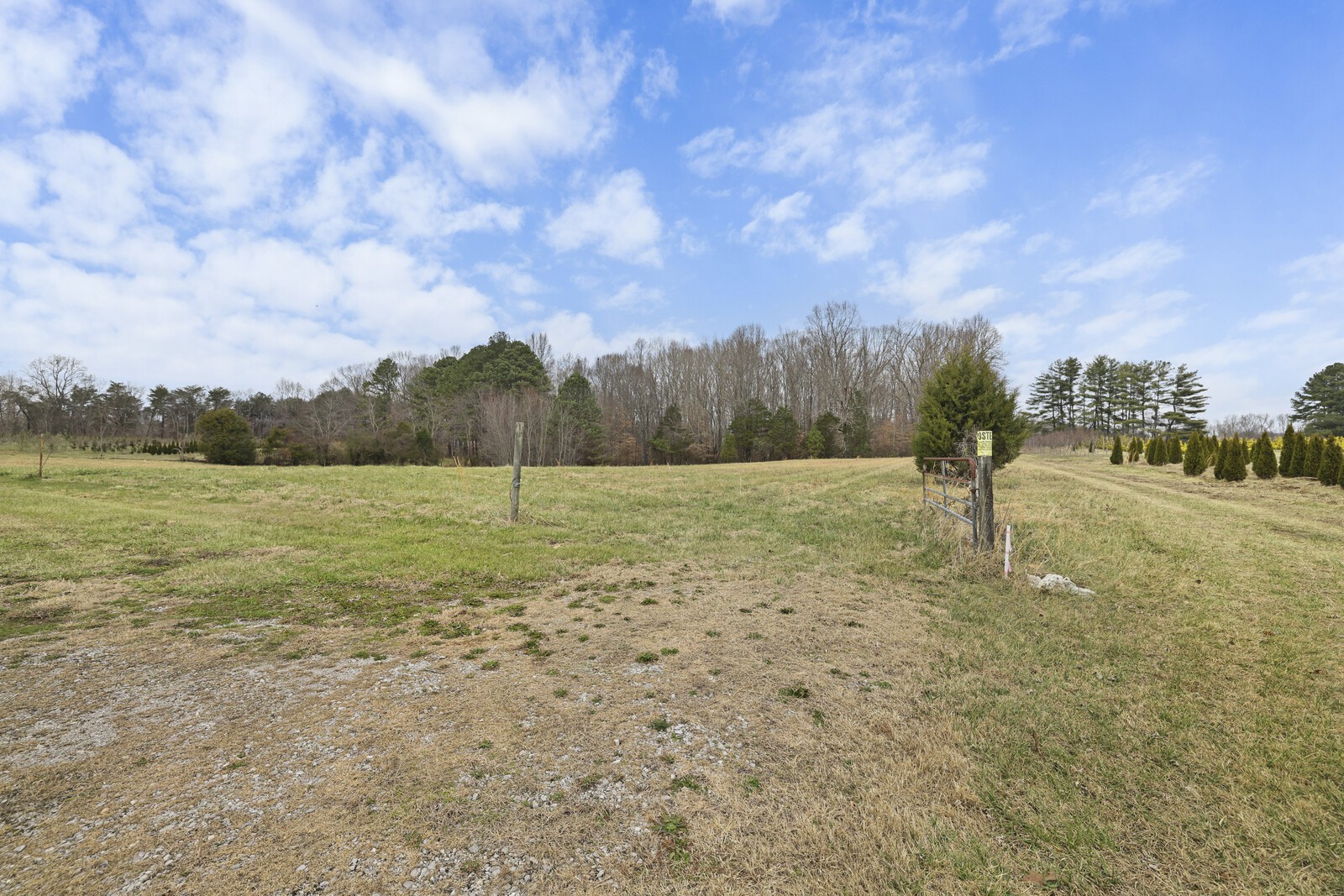 95 Pike Hill Road McMinnville, TN 37110 - Photo 24 of 42 a view of a field with a yard