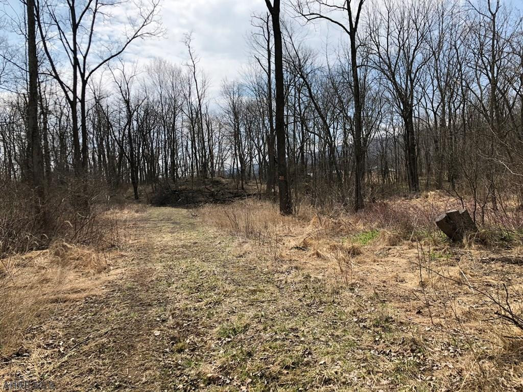 Off Dibert Road Everett, PA 15537 - Photo 19 of 23 Gallery Image 19