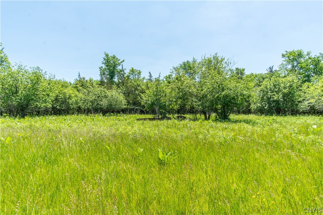 0 Middle Road Dexter, NY 13634 - Photo 2 of 23