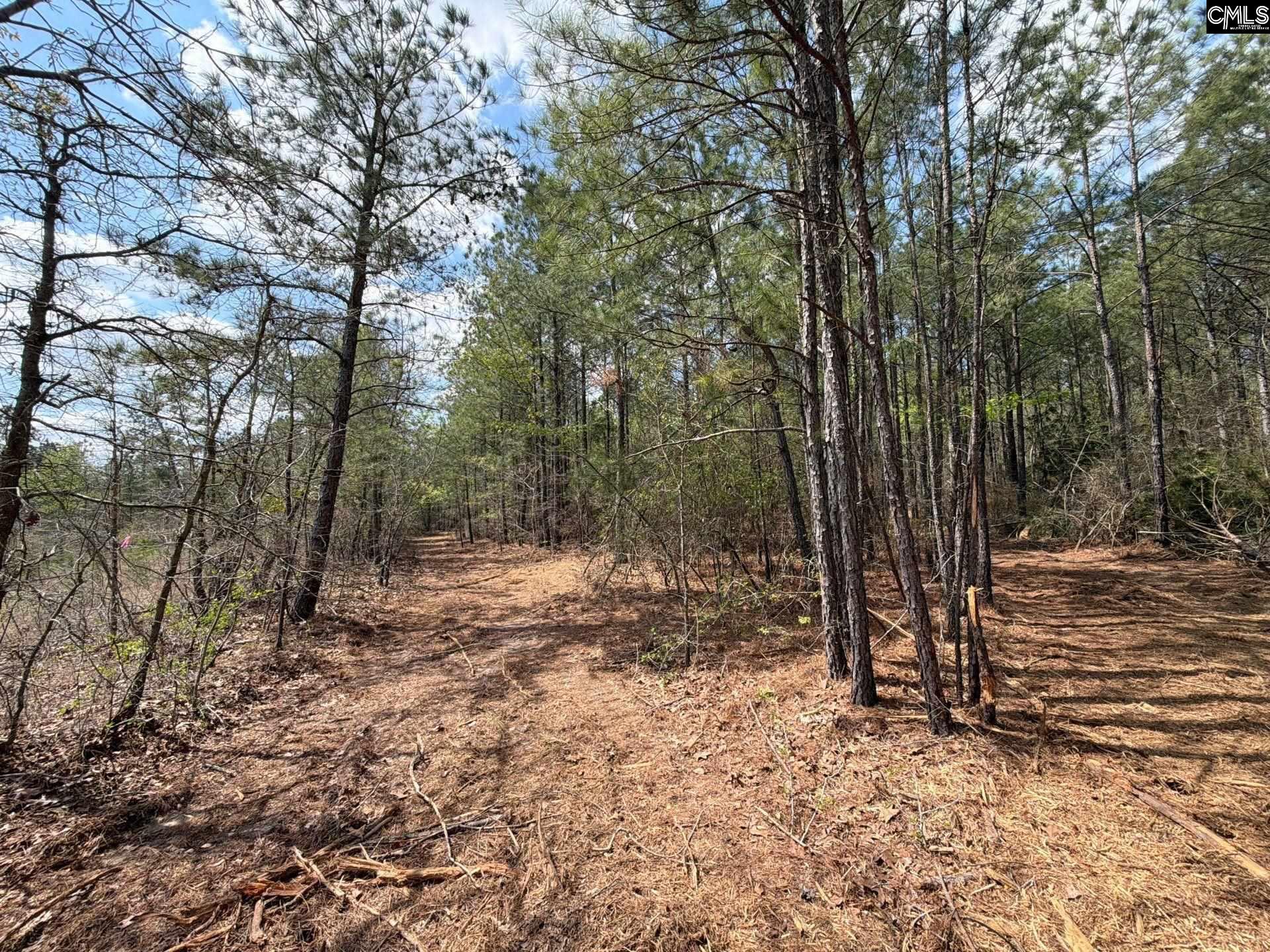4 Mt Calvary Rd Ridge Spring Ridge Spring, SC 29129 - Photo 5 of 40