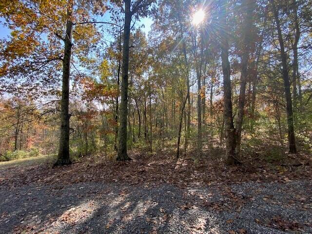 817 Galbraith Road Brooksville, KY 41004 - Photo 4 of 5