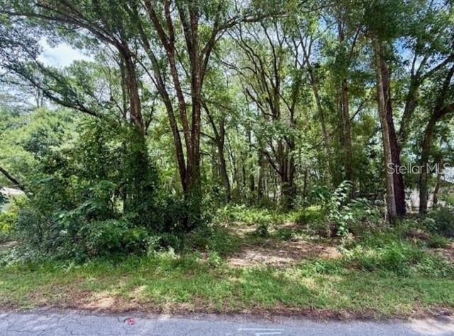 Tbd Northwest 64th Street Ocala, FL 34475 - Photo 1 of 1 a view of outdoor space and green space