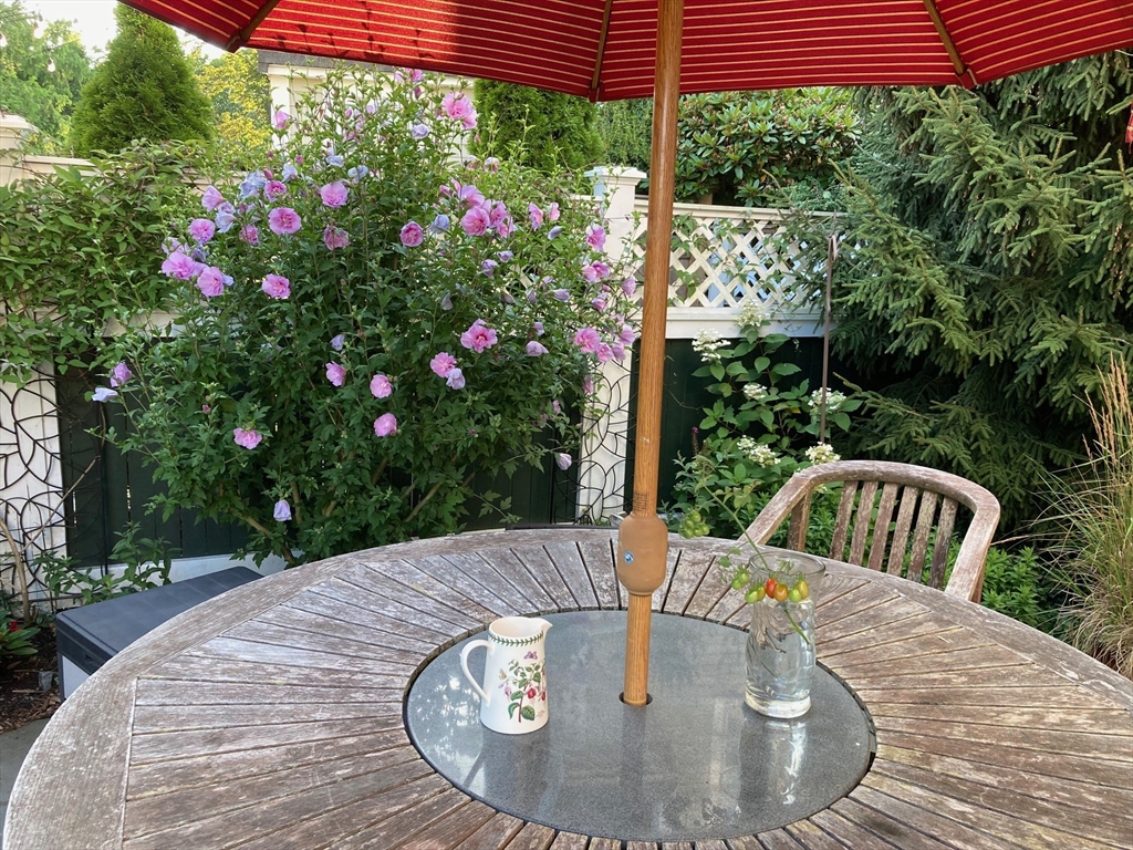 19 Doaks Lane Marblehead, MA 01945 - Photo 38 of 39 a view of small space in a yard