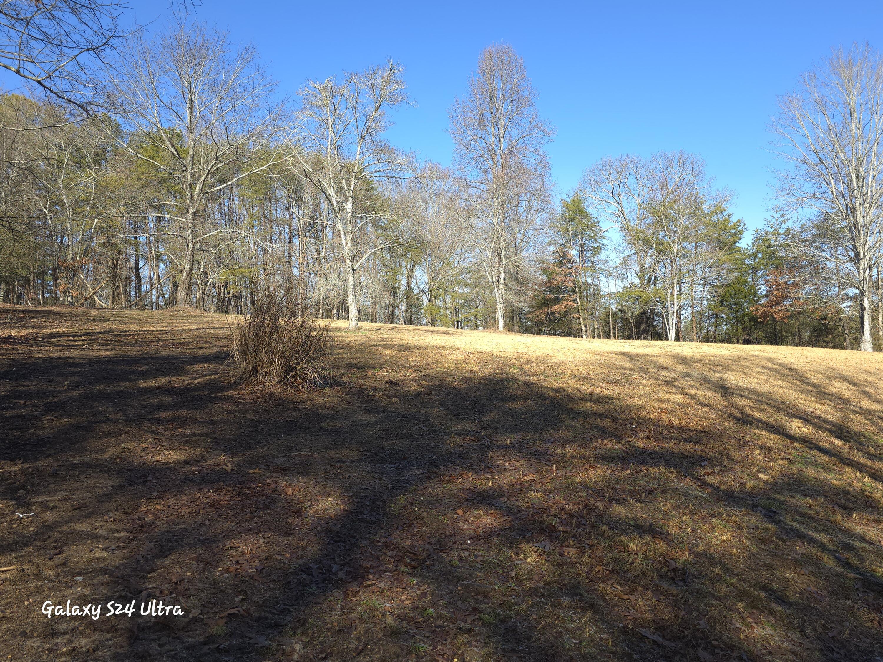 1107 Aslinger Road Sale Creek, TN 37373 - Photo 15 of 40 20250128_114106