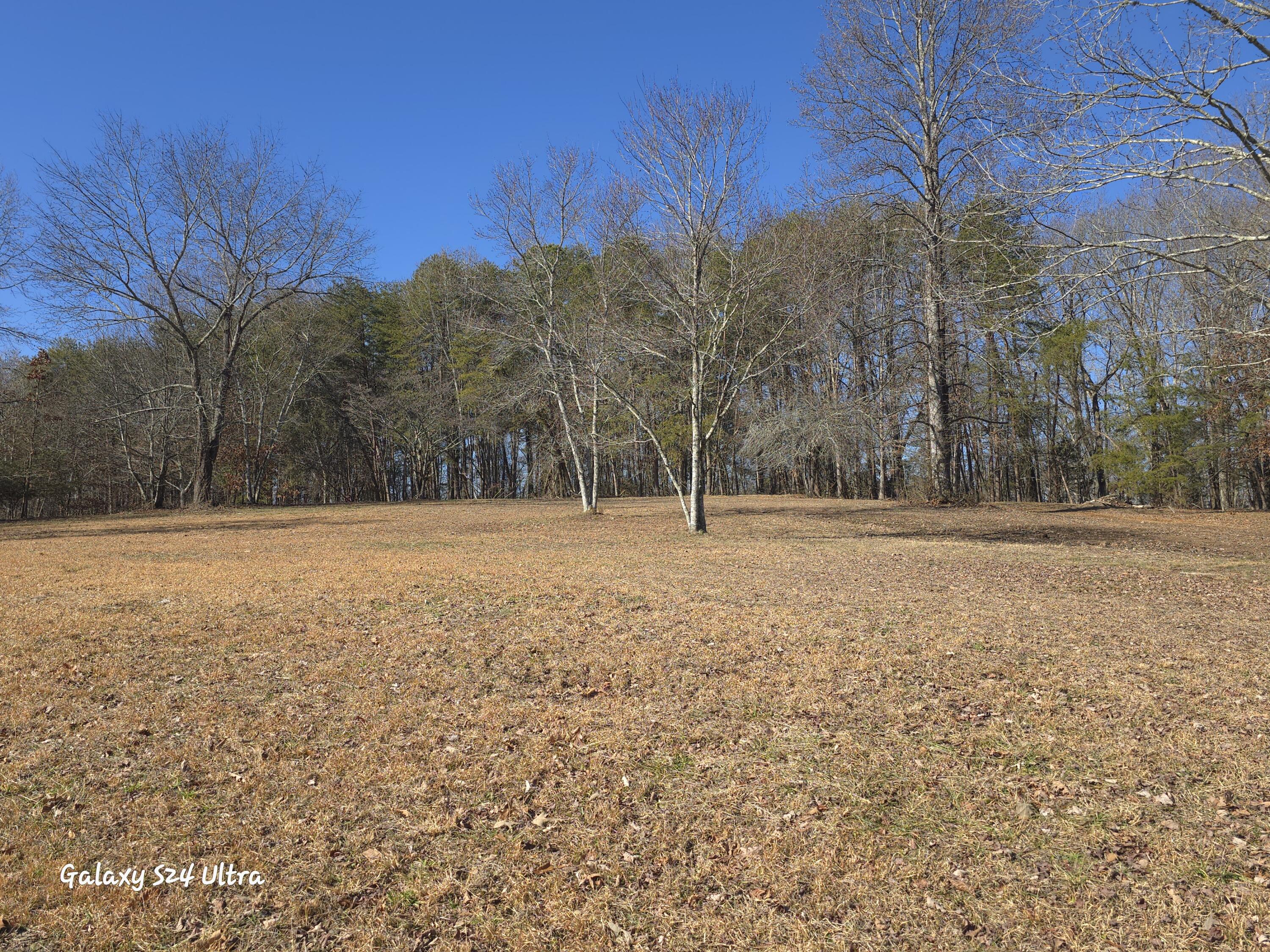 1107 Aslinger Road Sale Creek, TN 37373 - Photo 16 of 40 20250128_113914