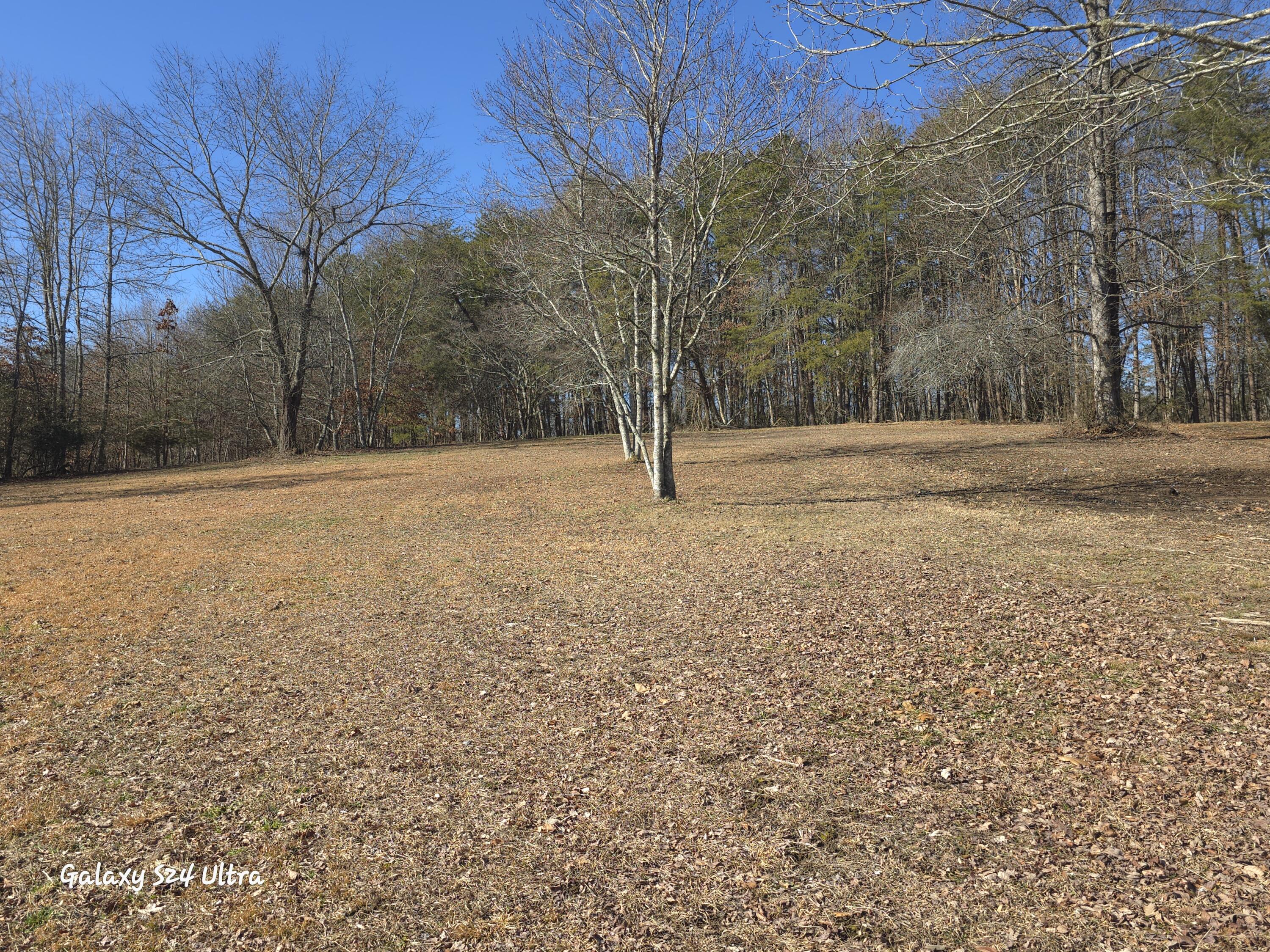 1107 Aslinger Road Sale Creek, TN 37373 - Photo 17 of 40 20250128_113925