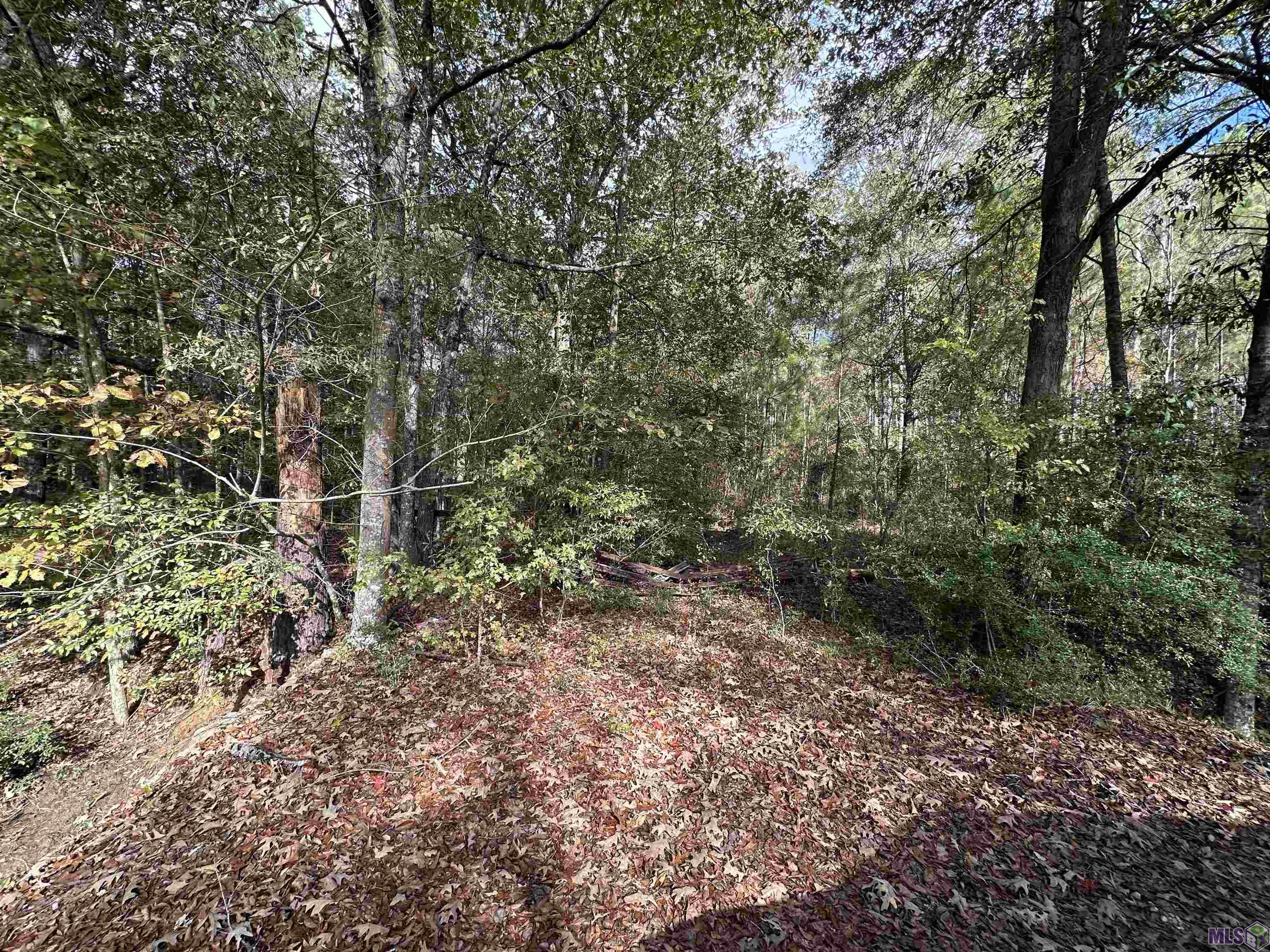 14087 Jackson Road Zachary, LA 70791 - Photo 3 of 7