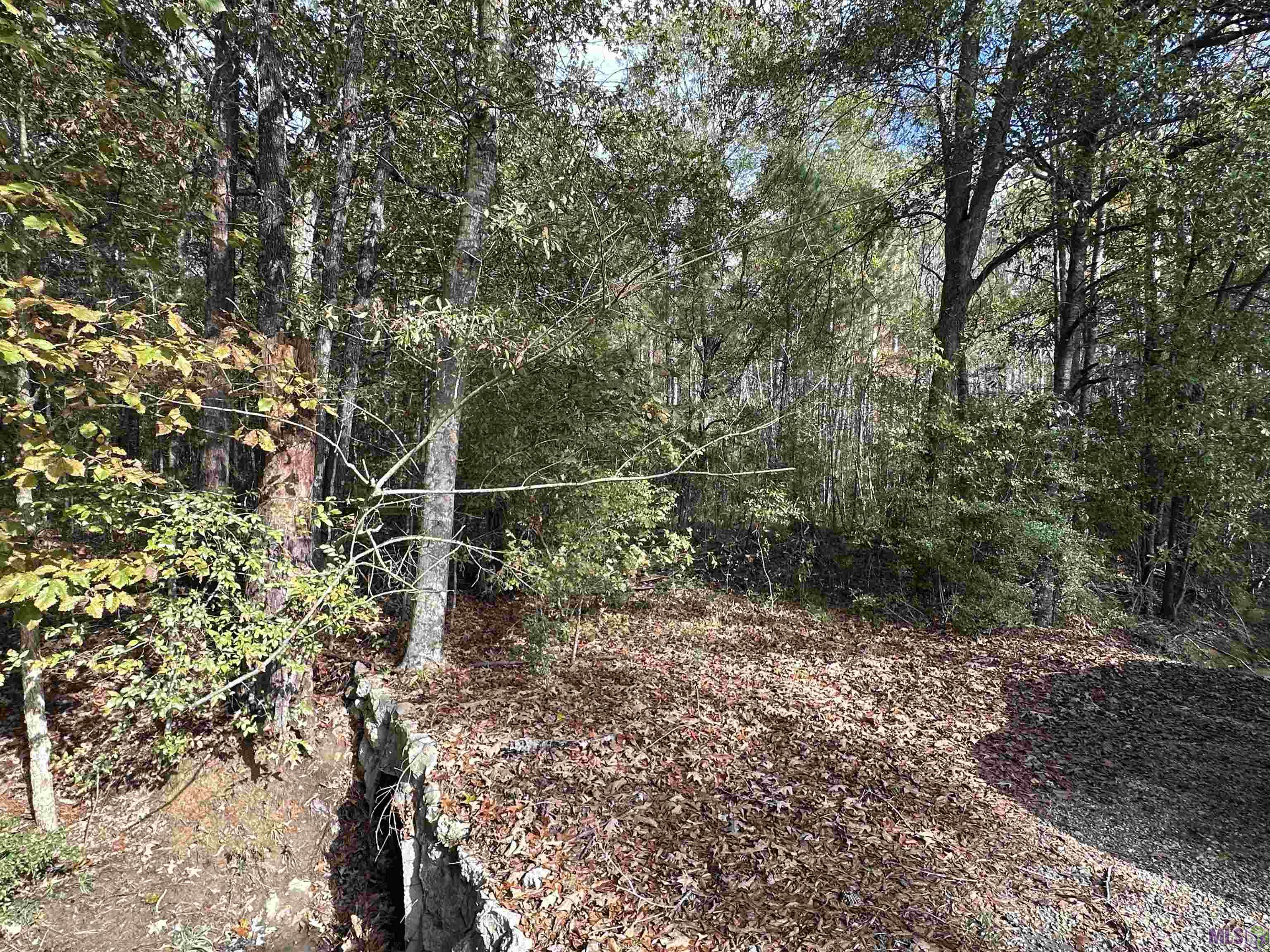 14087 Jackson Road Zachary, LA 70791 - Photo 4 of 7