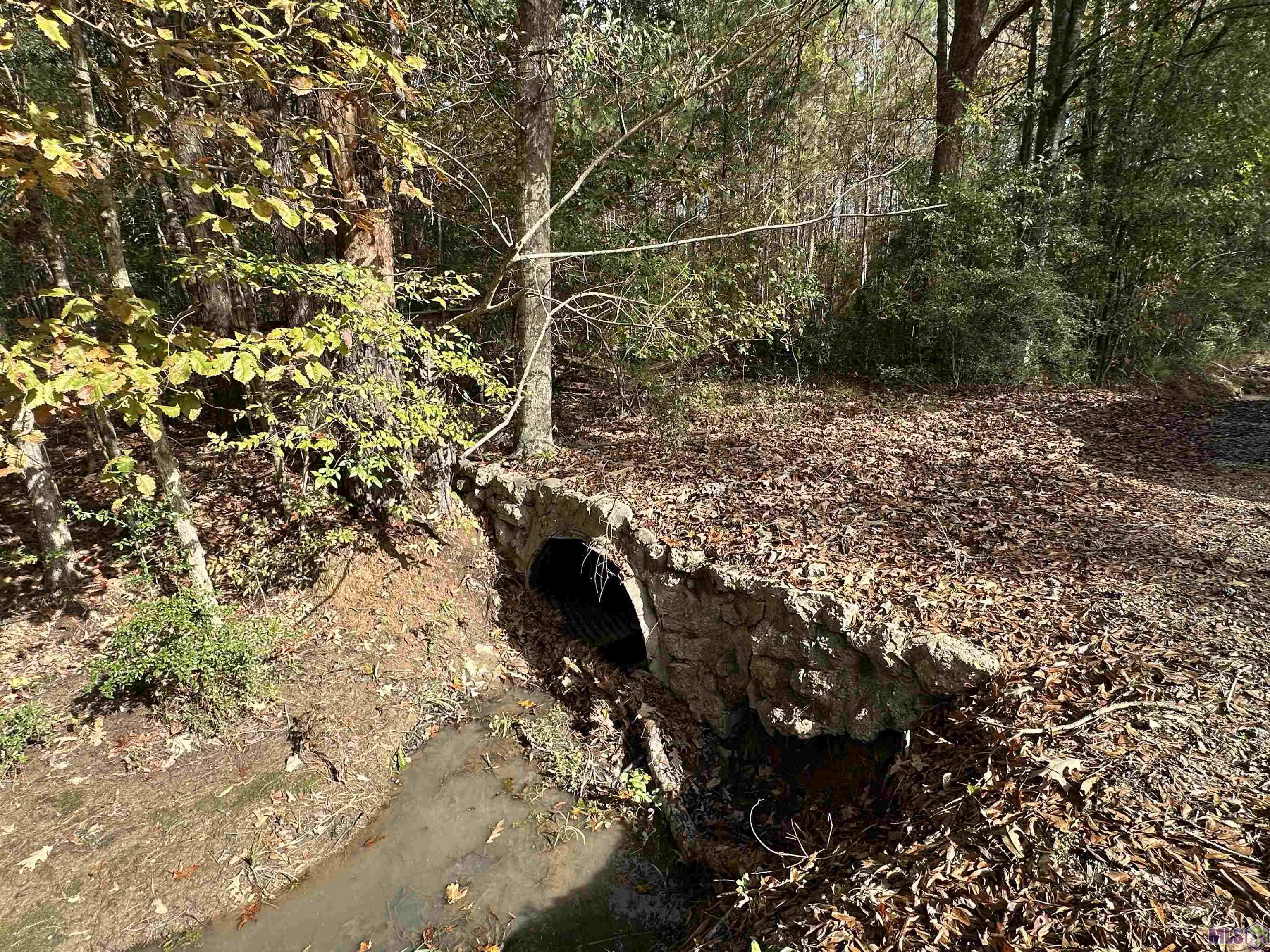 14087 Jackson Road Zachary, LA 70791 - Photo 5 of 7