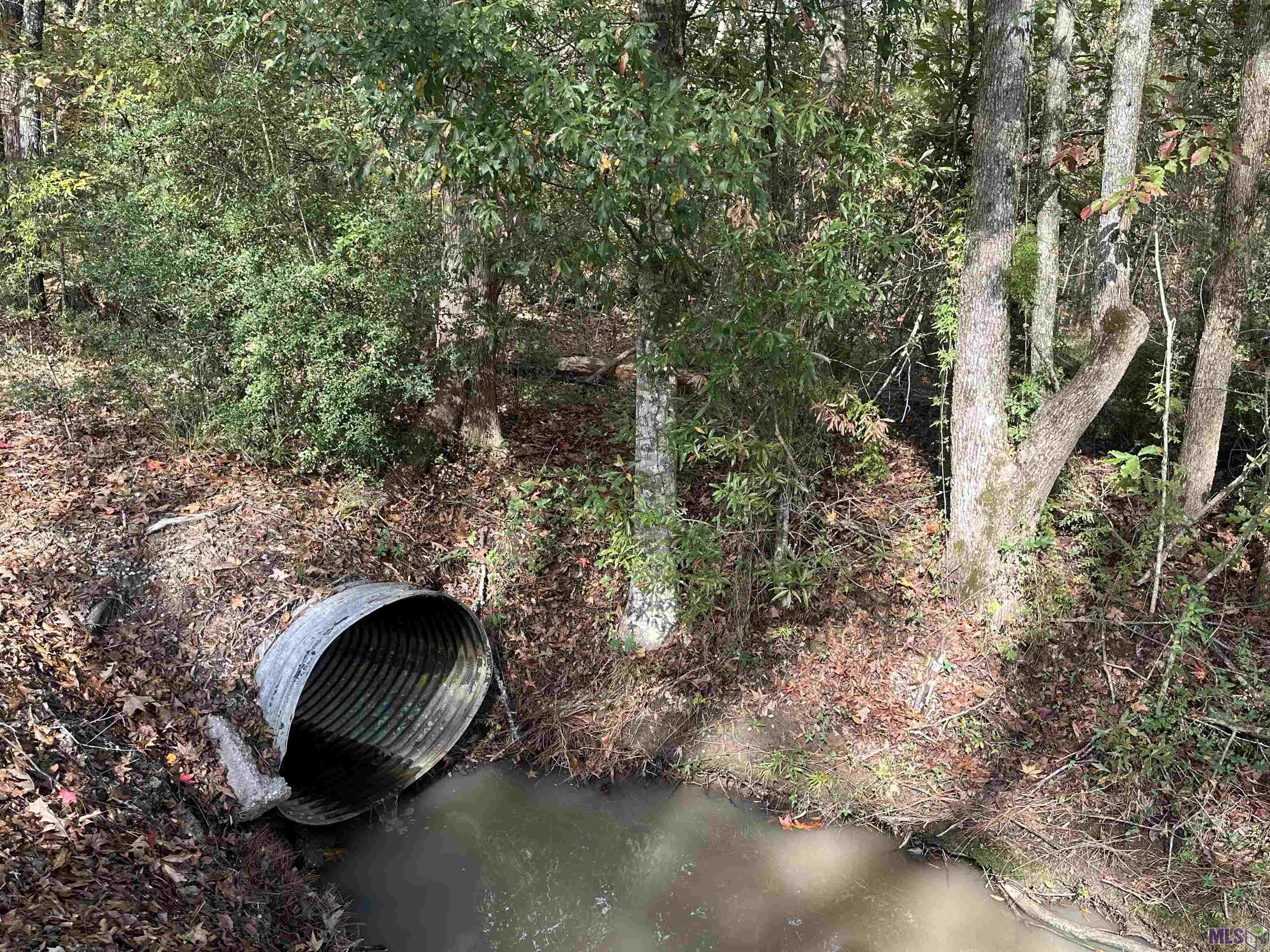 14087 Jackson Road Zachary, LA 70791 - Photo 6 of 7