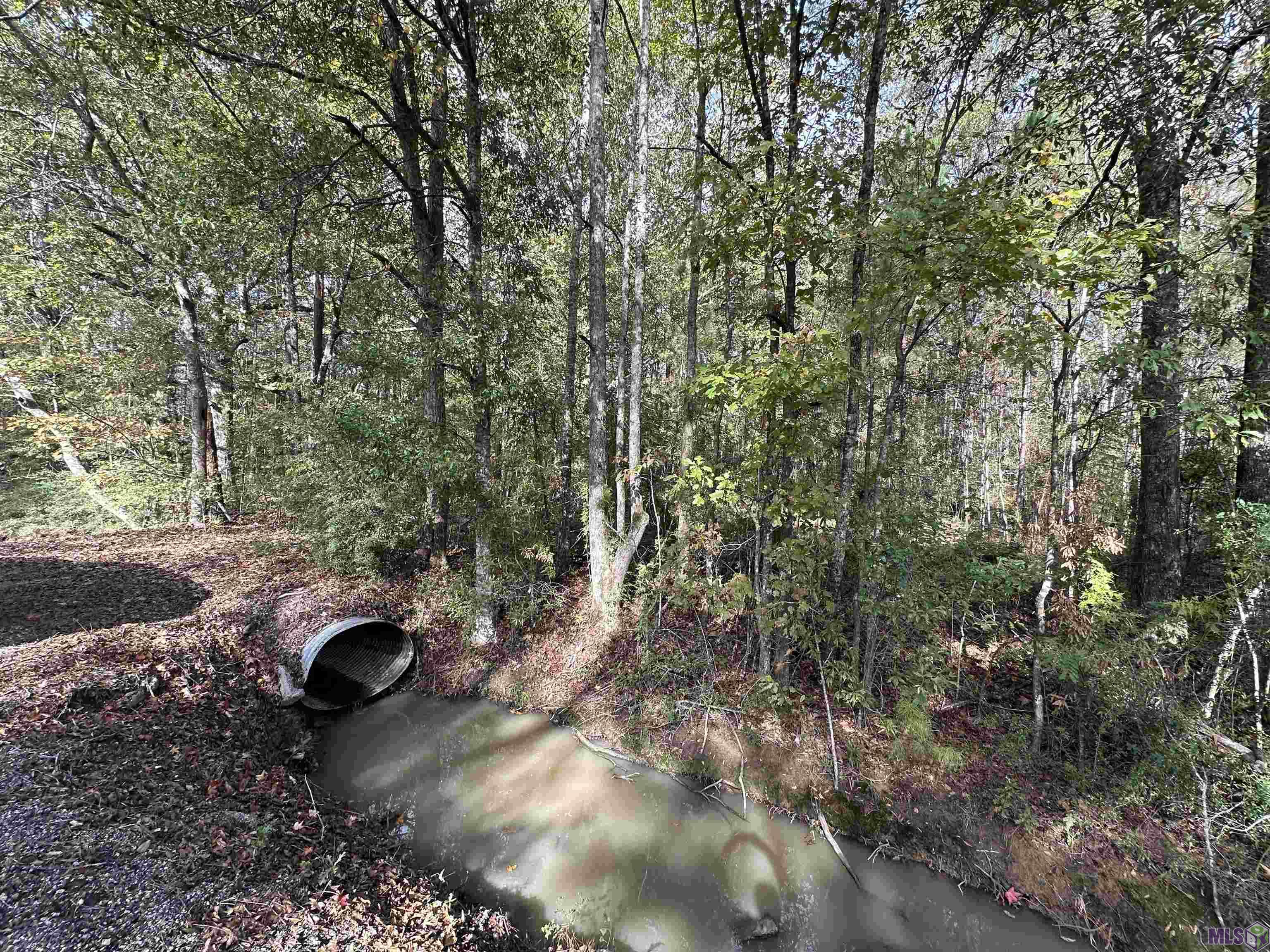 14087 Jackson Road Zachary, LA 70791 - Photo 7 of 7