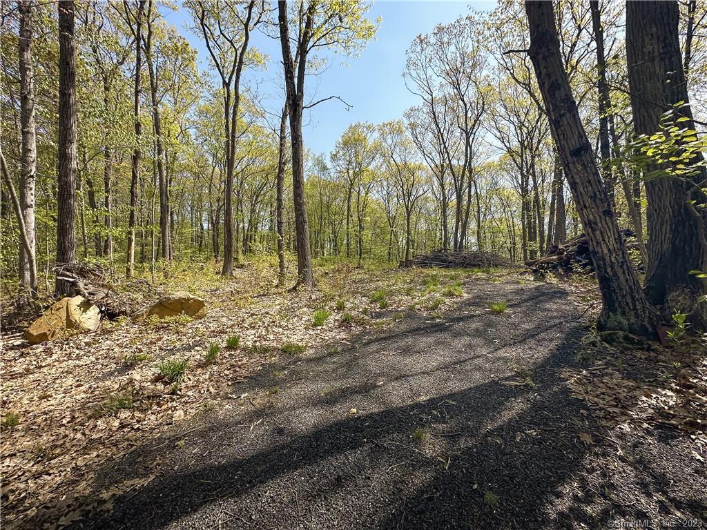 a view of outdoor space with trees