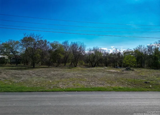 a view of a yard with a tree