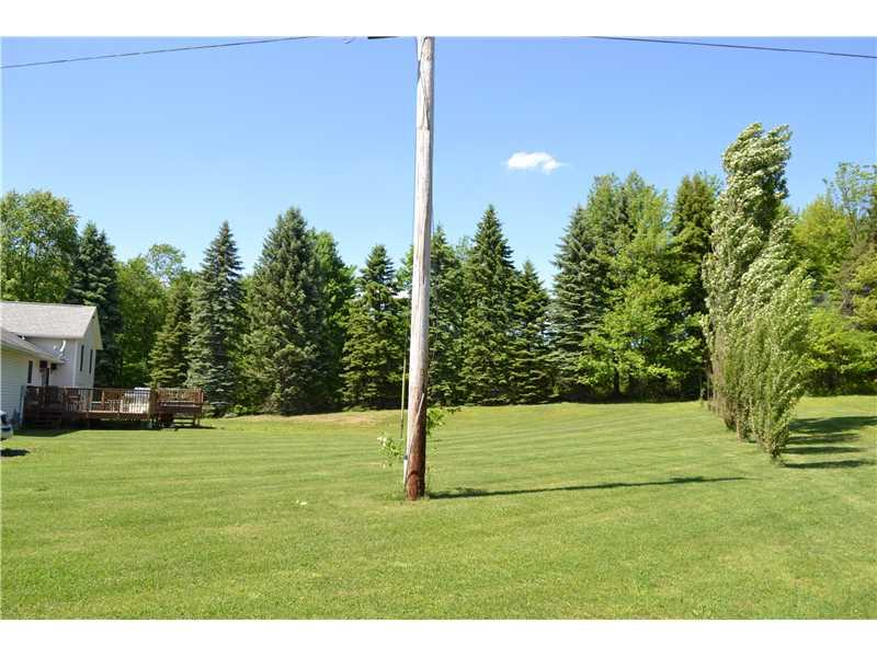 167 Dance Hall Road Apollo, PA 15613 - Photo 17 of 18 Yard/Garden.