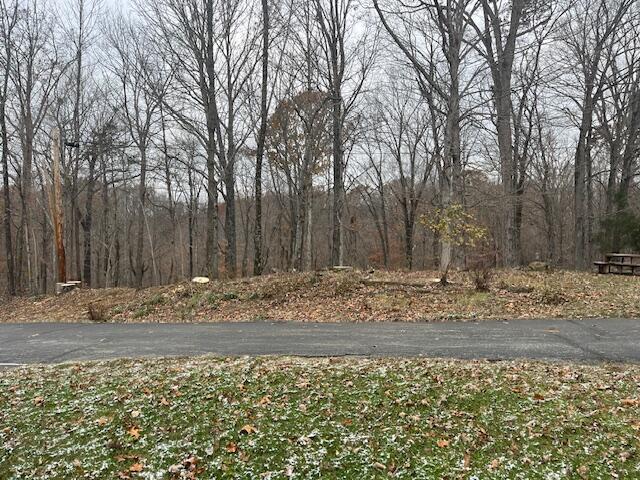 145 State Park Road, Unit S4 Jamestown, KY 42629 - Photo 61 of 68 IMG_6283